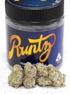 5 fresh seeds Fruity skunk Runtz (Reg)